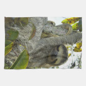 Linge De Cuisine Assigne vers le haut d'un arbre (Horizontal)