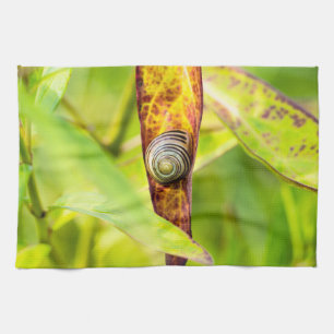 Linge De Cuisine attachement calme