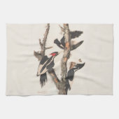 Linge De Cuisine Audubon Ivory-Billed (Horizontal)