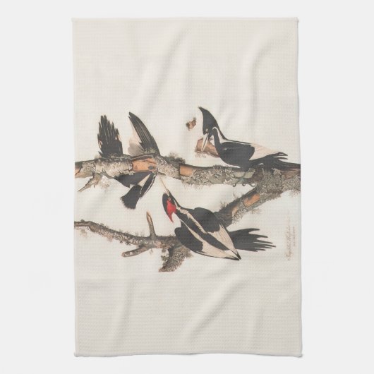 Linge De Cuisine Audubon Ivory-Billed (Vertical)