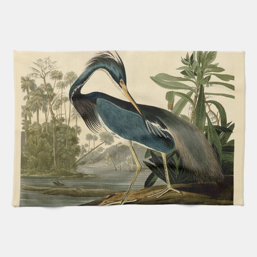 Linge De Cuisine Audubon Louisiana Heron Birds America Art (Horizontal)