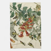 Linge De Cuisine Audubon Throsé de colibri (Vertical)