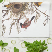 Linge De Cuisine Audubon's Orchard Oiseaux orientaux nichant dans l (Plié)