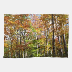 Linge De Cuisine Automne Forêt II Automne Paysage Photographie