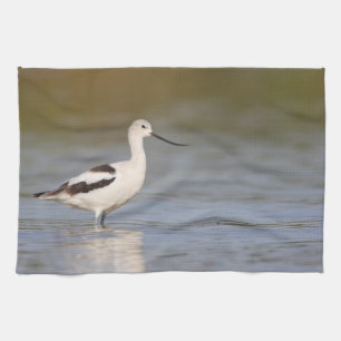 Linge De Cuisine Avocet américain blanc