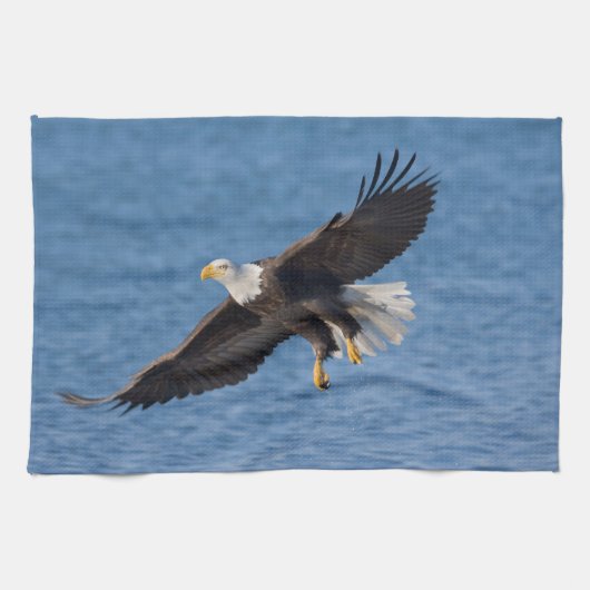 Linge De Cuisine Bald eagle in flight (Horizontal)