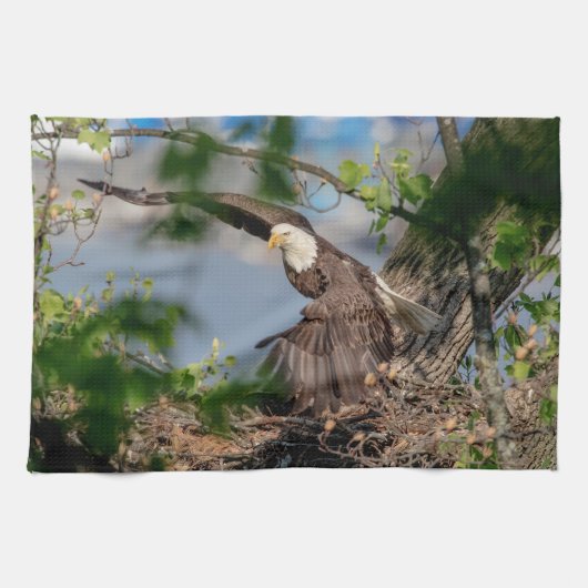 Linge De Cuisine Bald Eagle quittant le nid (Horizontal)