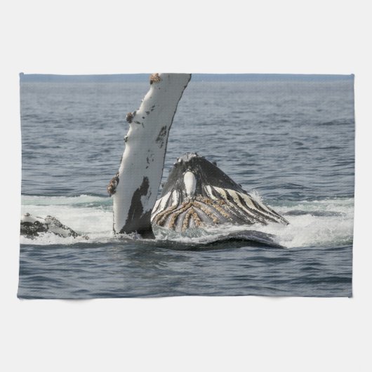 Linge De Cuisine Baleine à bosse (Horizontal)