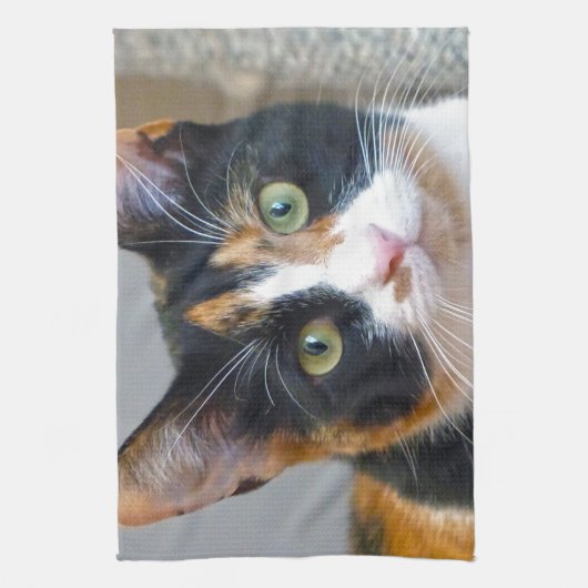 Linge De Cuisine Bandit (Vertical)