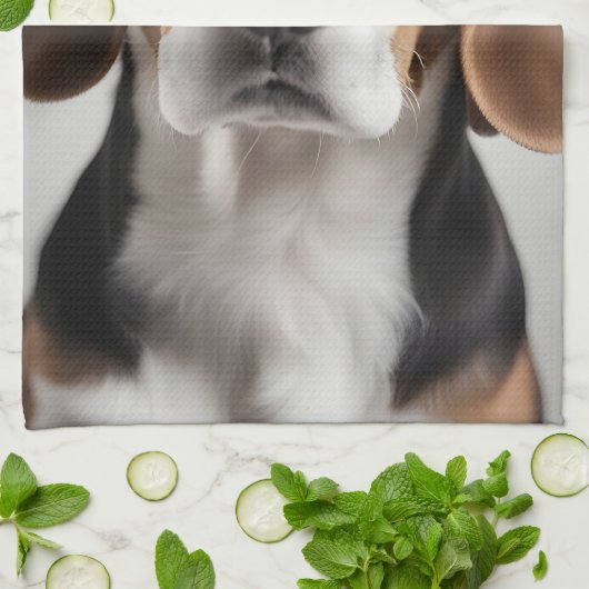 Linge De Cuisine Beagle (Plié)