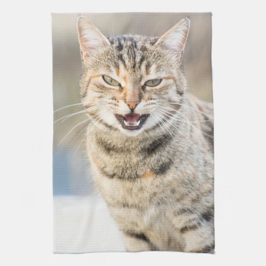 Linge De Cuisine Beau chat (Vertical)