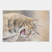 Linge De Cuisine Beau chat (Horizontal)