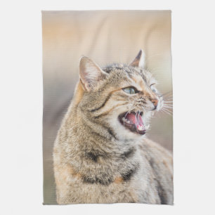 Linge De Cuisine Beau chat