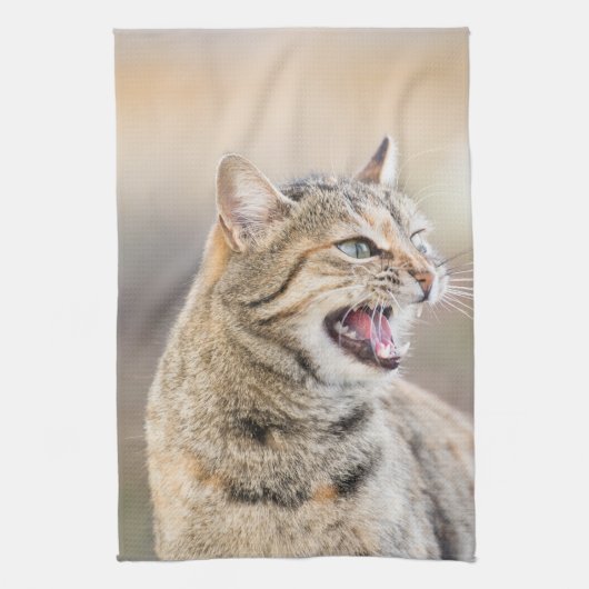 Linge De Cuisine Beau chat (Vertical)