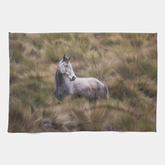 Linge De Cuisine Beau cheval de couleur grise (Horizontal)