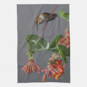 Linge De Cuisine Beau colibri (Vertical)