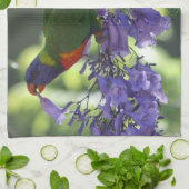 Linge De Cuisine beau Lorikeet (Plié)