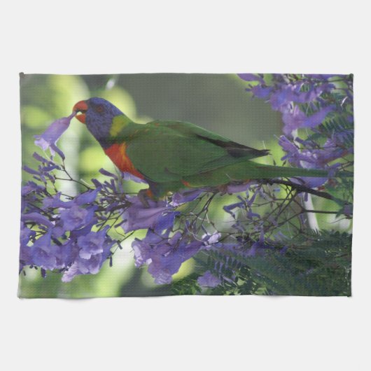 Linge De Cuisine beau Lorikeet (Horizontal)