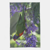 Linge De Cuisine beau Lorikeet (Vertical)