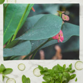 Linge De Cuisine Beau papillon (Plié)