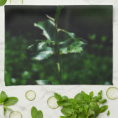 Linge De Cuisine Beau rose de rose (Plié)