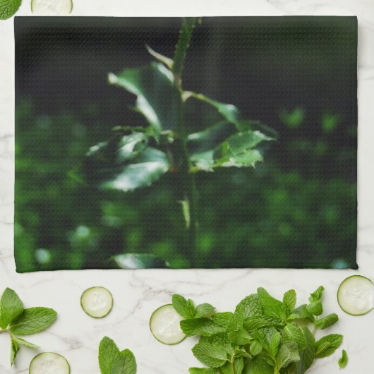 Linge De Cuisine Beau rose de rose (Plié)