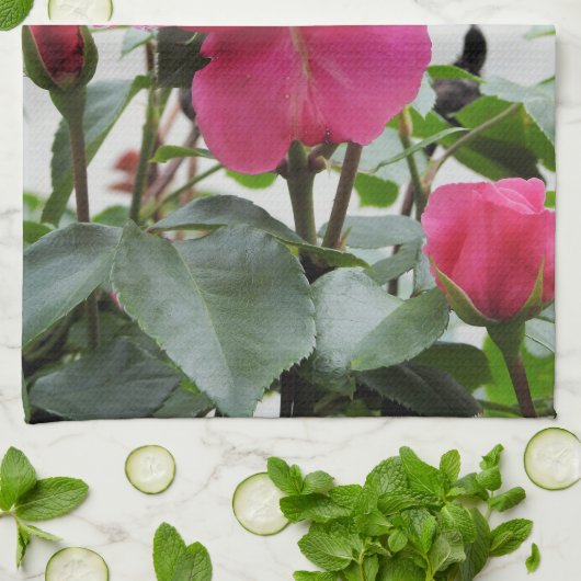 Linge De Cuisine Beau rose de rose (Plié)