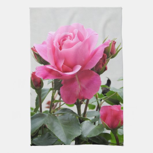Linge De Cuisine Beau rose de rose (Vertical)