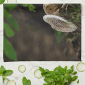 Linge De Cuisine Beauté douteuse (Plié)
