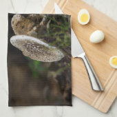 Linge De Cuisine Beauté douteuse (Quart Plié)