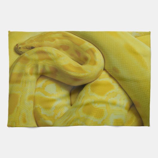Linge De Cuisine Beautiful Yellow Burmese Python (Horizontal)