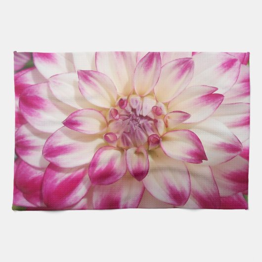 Linge De Cuisine Beaux (Horizontal)