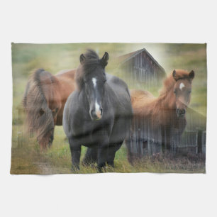 Linge De Cuisine Beaux chevaux et grange rustique