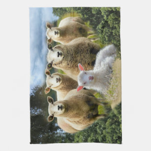 Linge De Cuisine Bébé agneau mouton troupeau troupeau troupeau