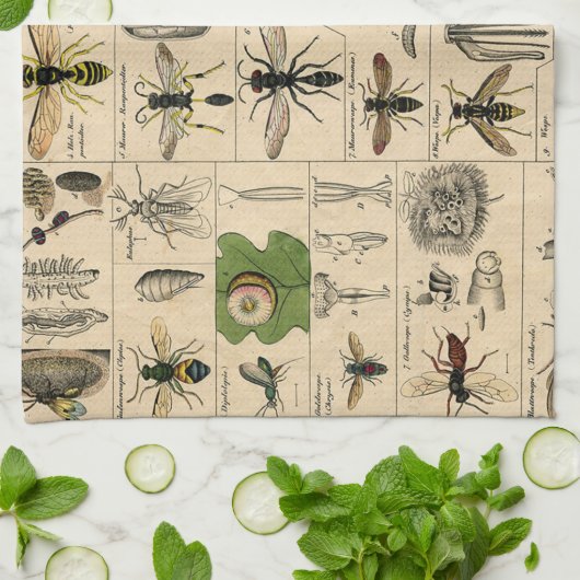 Linge De Cuisine Bee Insect Bug Wasp Natural History Bees (Plié)