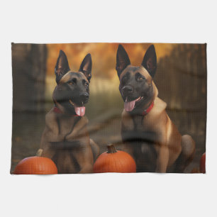 Linge De Cuisine Belge Malinoi Puppy Automne Citrouille de plaisir