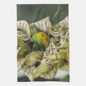 Linge De Cuisine Belize Wildlife : Olive Euphonia Bird Photography (Vertical)