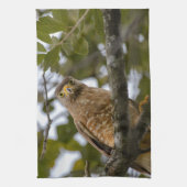 Linge De Cuisine Belize Wildlife : Roadside Hawk Photography (Vertical)