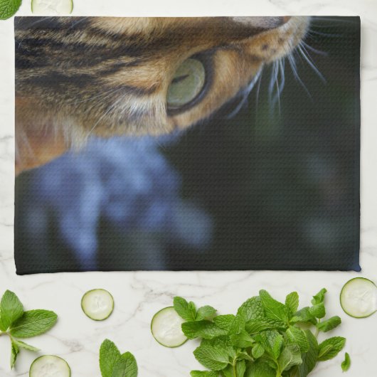 Linge De Cuisine Belle Chat Bengale (Plié)