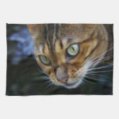 Linge De Cuisine Belle Chat Bengale (Horizontal)