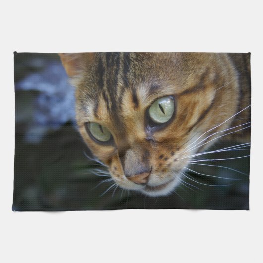 Linge De Cuisine Belle Chat Bengale (Horizontal)