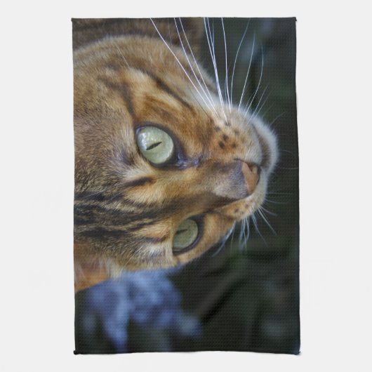 Linge De Cuisine Belle Chat Bengale (Vertical)