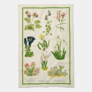 Linge De Cuisine Belle couleur Vintage inspirée Botanique Floral