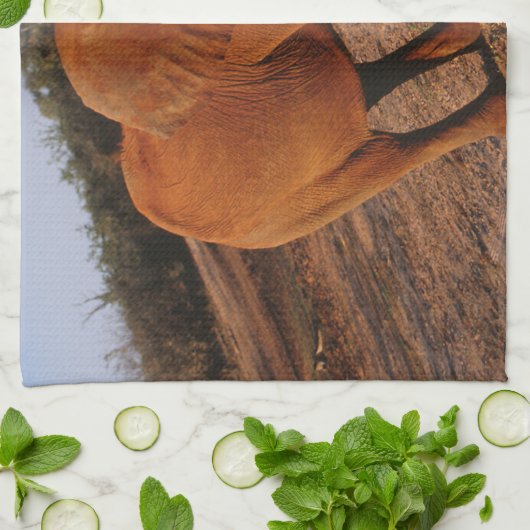 Linge De Cuisine Big Red (Plié)