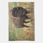 Linge De Cuisine Bison photo (Vertical)