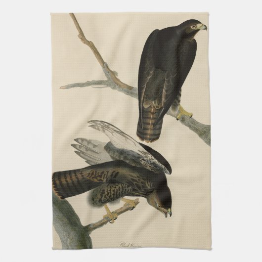 Linge De Cuisine Black Warrior (Buse à queue rouge) d'Audubon Birds (Vertical)