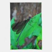 Linge De Cuisine Blue Damselfly on a green leaf. (Vertical)