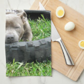 Linge De Cuisine Blue Young Stafford Bull Terrier (Quart Plié)