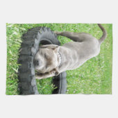 Linge De Cuisine Blue Young Stafford Bull Terrier (Horizontal)