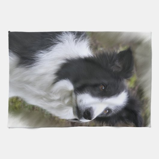 Linge De Cuisine Border collie art (Horizontal)